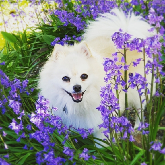 30% Off Bundle of 3 Items - Picture 5 of 5